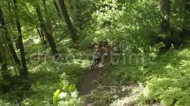 骑自行车的人骑着山地车在森林里急转弯。 骑越野车的